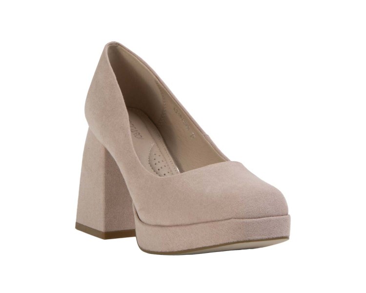 T.taccardi 26WL04