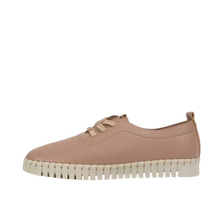 CALZA FLEX - 28A775