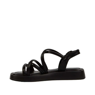 BELLEBERRY - 29TT09