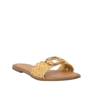 WILD DIVA - 29Y646