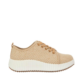BAMBOO - 50CK46